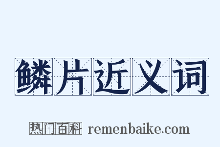 鳞片近义词是什么意思的图片